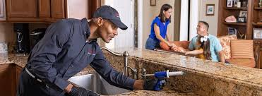 Reliable Balmville, NY Pest control Solutions